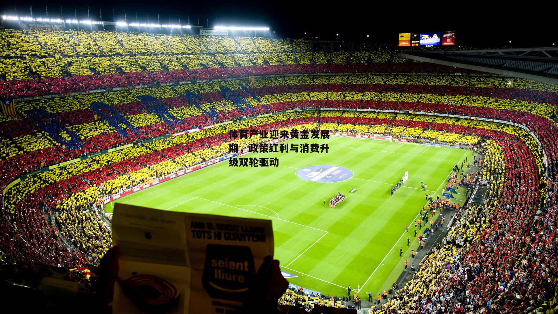 体育产业迎来黄金发展期，政策红利与消费升级双轮驱动_壹号娱乐网页版